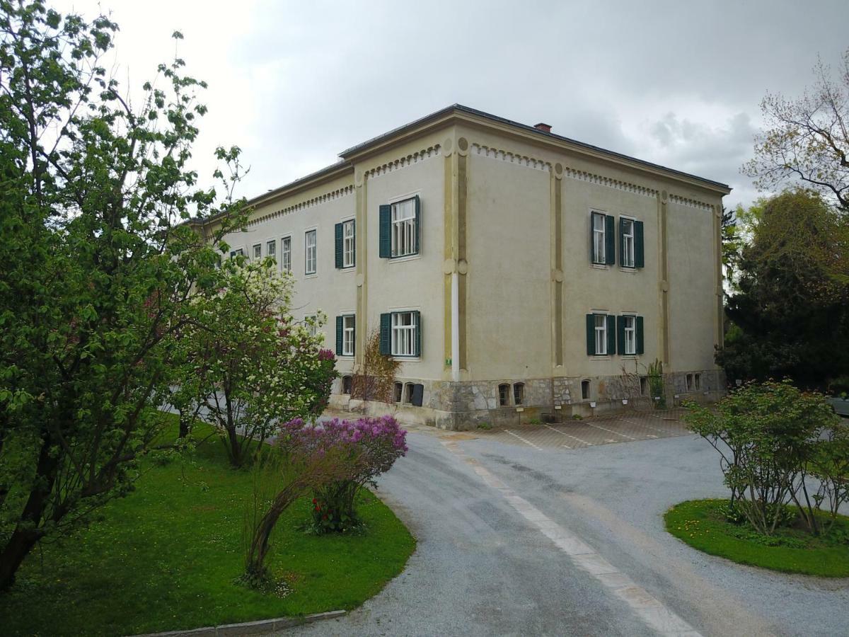 Blue Flat By Grazrentals Best Location & Free Parking Dış mekan fotoğraf